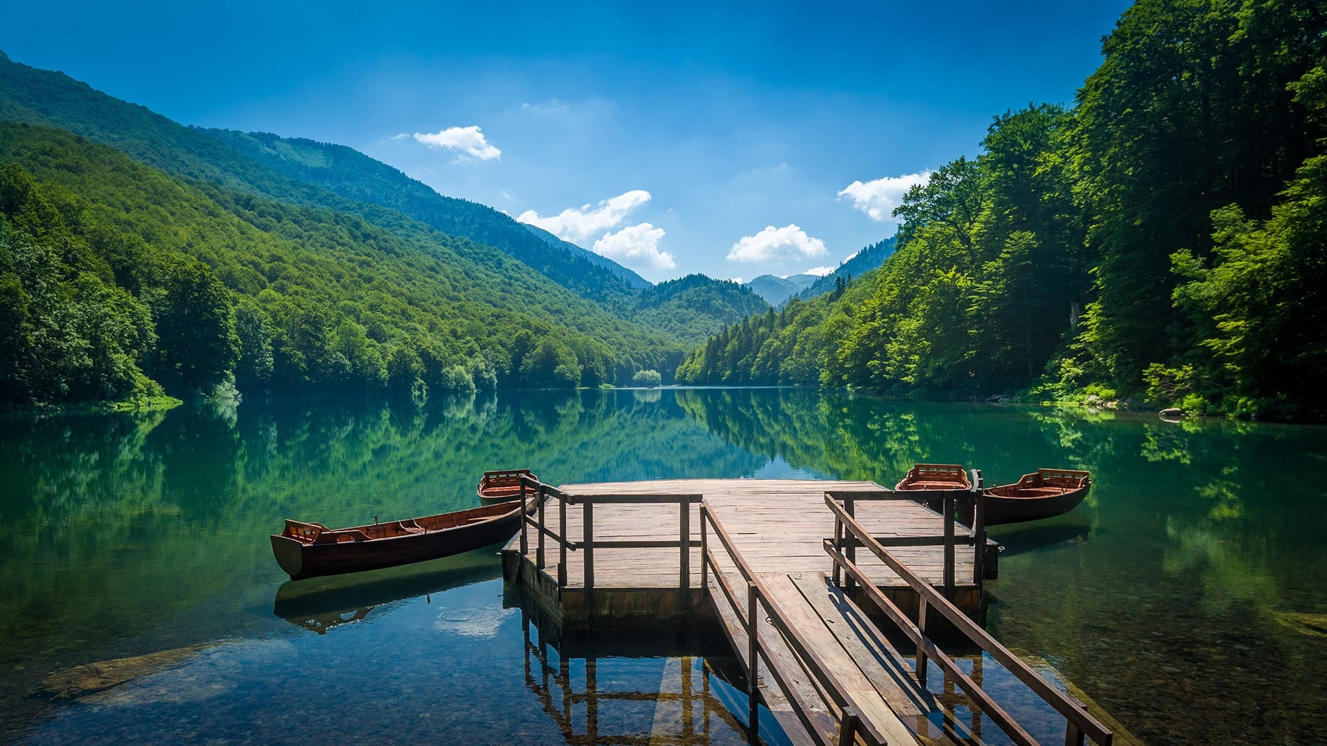 Biogradska Gora
