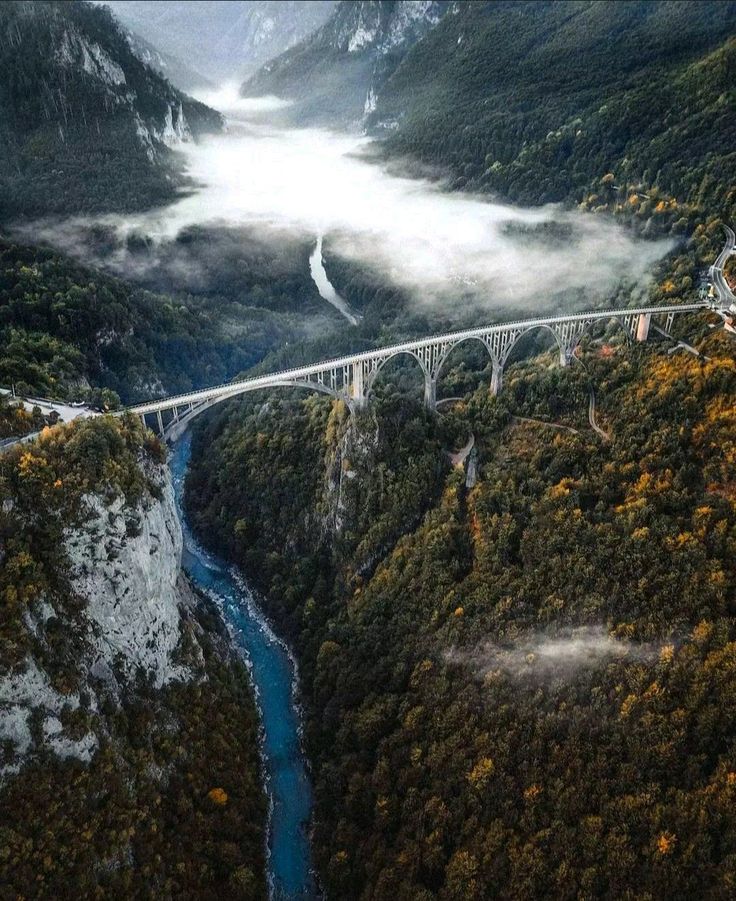 Đurđevića Tara Bridge
